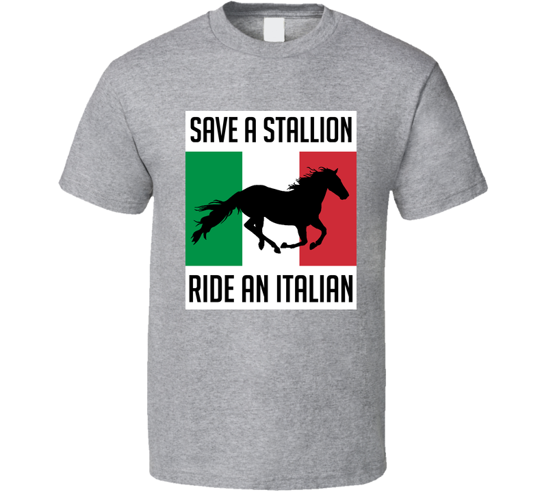 Save A Stallion Ride An Italian Hayden Christensen Gray Unisex T Shirt