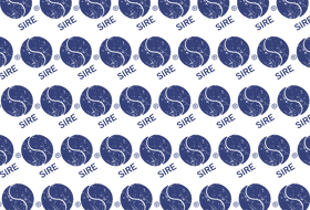 https://d1w8c6s6gmwlek.cloudfront.net/recordedclothing.com/overlays/382/022/38202241.png img