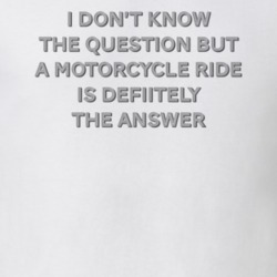 Motorcycle Ride Is The Answer Funny Motorcycle Light Color T Shirt 36026355