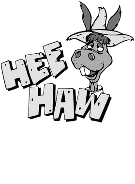 https://d1w8c6s6gmwlek.cloudfront.net/rogerretro.us/overlays/403/395/40339557.png img
