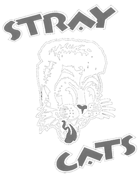https://d1w8c6s6gmwlek.cloudfront.net/rogerretro.us/overlays/403/397/40339706.png img