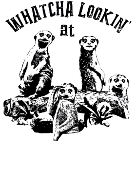 image overlay