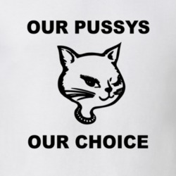 Our Pussys Our Choice Tee Trendy 90s Pussycat Donald Trump Election Feminist Political T Shirt 25087888