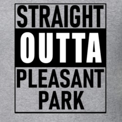 Straight Outta Pleasant Park Tee Cool Fortnite Video Gaming Gaming Fan T Shirt 34651936