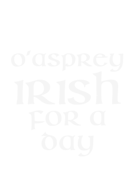 https://d1w8c6s6gmwlek.cloudfront.net/stpatricksdaytee.com/overlays/125/625/1256252.png img
