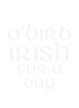 https://d1w8c6s6gmwlek.cloudfront.net/stpatricksdaytee.com/overlays/125/724/1257243.png img