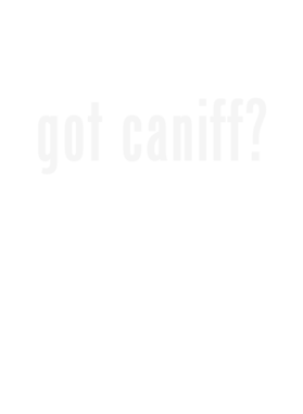 https://d1w8c6s6gmwlek.cloudfront.net/stpatricksdaytee.com/overlays/126/187/1261873.png img