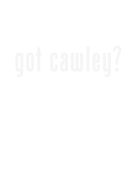 https://d1w8c6s6gmwlek.cloudfront.net/stpatricksdaytee.com/overlays/126/344/1263442.png img