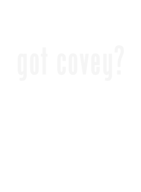 https://d1w8c6s6gmwlek.cloudfront.net/stpatricksdaytee.com/overlays/126/508/1265088.png img