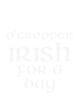 https://d1w8c6s6gmwlek.cloudfront.net/stpatricksdaytee.com/overlays/126/590/1265908.png img
