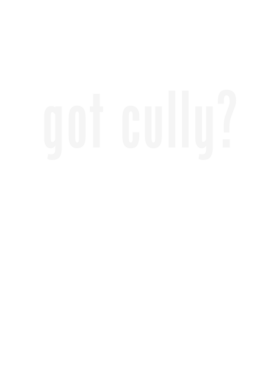 https://d1w8c6s6gmwlek.cloudfront.net/stpatricksdaytee.com/overlays/126/728/1267289.png img