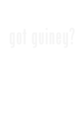 https://d1w8c6s6gmwlek.cloudfront.net/stpatricksdaytee.com/overlays/128/550/1285506.png img