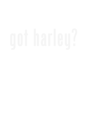 https://d1w8c6s6gmwlek.cloudfront.net/stpatricksdaytee.com/overlays/128/624/1286243.png img