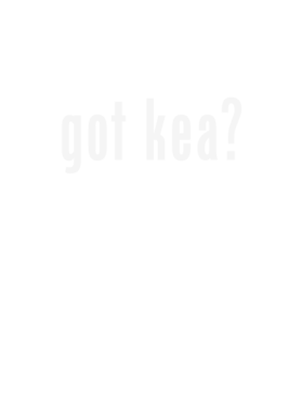 https://d1w8c6s6gmwlek.cloudfront.net/stpatricksdaytee.com/overlays/129/099/1290997.png img