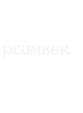 https://d1w8c6s6gmwlek.cloudfront.net/stpatricksdaytee.com/overlays/129/327/1293279.png img