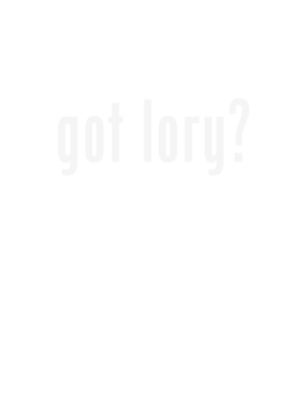 https://d1w8c6s6gmwlek.cloudfront.net/stpatricksdaytee.com/overlays/129/462/1294623.png img