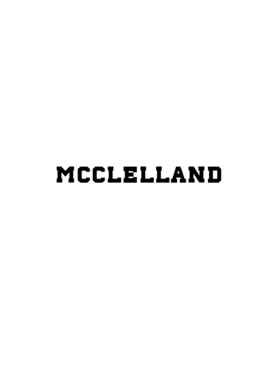 https://d1w8c6s6gmwlek.cloudfront.net/stpatricksdaytee.com/overlays/129/776/1297765.png img