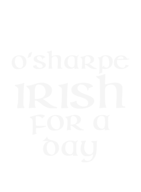 https://d1w8c6s6gmwlek.cloudfront.net/stpatricksdaytee.com/overlays/130/588/1305882.png img