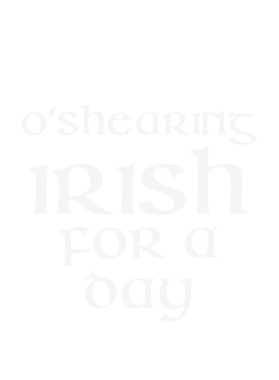 https://d1w8c6s6gmwlek.cloudfront.net/stpatricksdaytee.com/overlays/130/597/1305973.png img