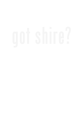 https://d1w8c6s6gmwlek.cloudfront.net/stpatricksdaytee.com/overlays/130/620/1306203.png img