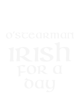 https://d1w8c6s6gmwlek.cloudfront.net/stpatricksdaytee.com/overlays/130/704/1307042.png img