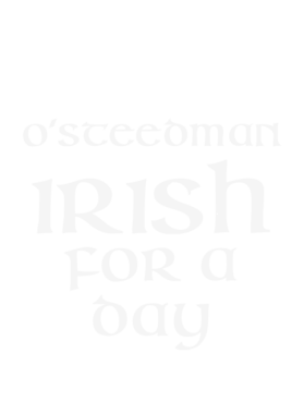 https://d1w8c6s6gmwlek.cloudfront.net/stpatricksdaytee.com/overlays/130/704/1307047.png img