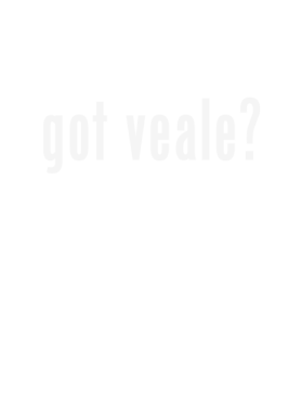 image overlay