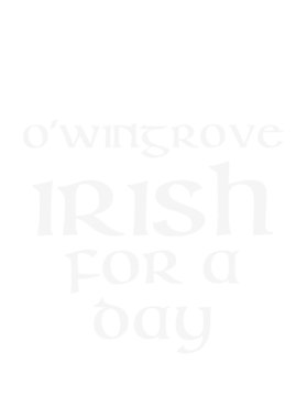 image overlay