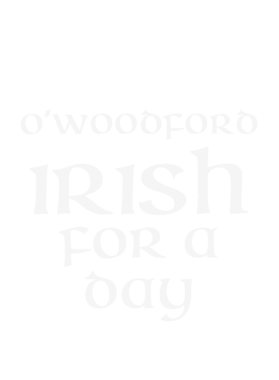 https://d1w8c6s6gmwlek.cloudfront.net/stpatricksdaytee.com/overlays/131/403/1314038.png img