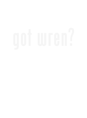 https://d1w8c6s6gmwlek.cloudfront.net/stpatricksdaytee.com/overlays/131/413/1314135.png img