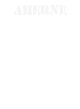 https://d1w8c6s6gmwlek.cloudfront.net/stpatricksdaytee.com/overlays/131/675/1316759.png img