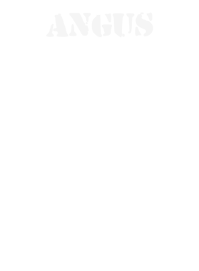 https://d1w8c6s6gmwlek.cloudfront.net/stpatricksdaytee.com/overlays/131/682/1316829.png img