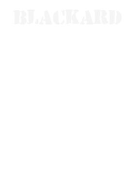 https://d1w8c6s6gmwlek.cloudfront.net/stpatricksdaytee.com/overlays/131/707/1317079.png img