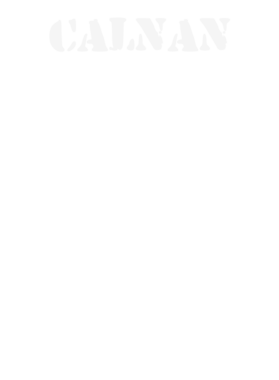 https://d1w8c6s6gmwlek.cloudfront.net/stpatricksdaytee.com/overlays/131/739/1317395.png img