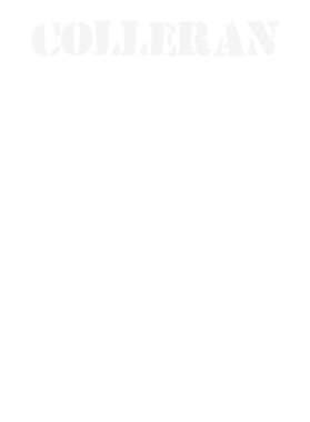 https://d1w8c6s6gmwlek.cloudfront.net/stpatricksdaytee.com/overlays/131/773/1317737.png img