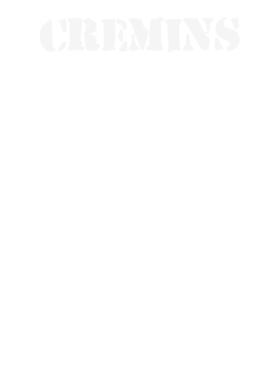 https://d1w8c6s6gmwlek.cloudfront.net/stpatricksdaytee.com/overlays/131/801/1318015.png img