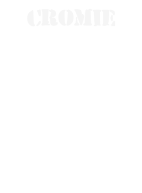 https://d1w8c6s6gmwlek.cloudfront.net/stpatricksdaytee.com/overlays/131/802/1318026.png img