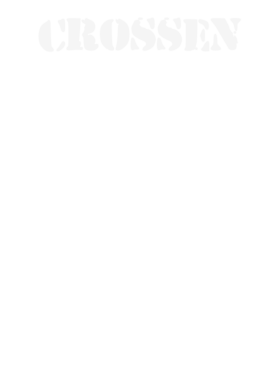 https://d1w8c6s6gmwlek.cloudfront.net/stpatricksdaytee.com/overlays/131/803/1318038.png img
