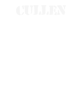 https://d1w8c6s6gmwlek.cloudfront.net/stpatricksdaytee.com/overlays/131/807/1318076.png img