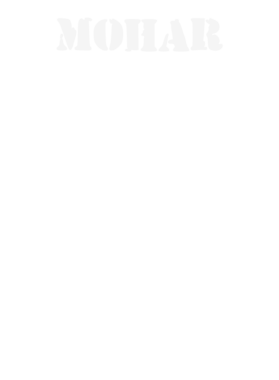 https://d1w8c6s6gmwlek.cloudfront.net/stpatricksdaytee.com/overlays/131/948/1319482.png img