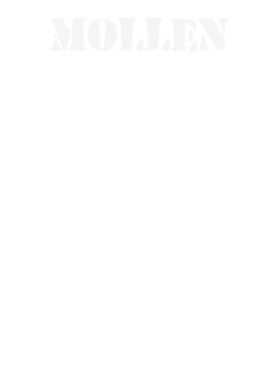https://d1w8c6s6gmwlek.cloudfront.net/stpatricksdaytee.com/overlays/131/948/1319487.png img