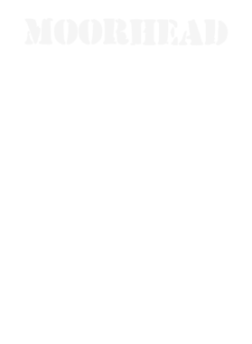 https://d1w8c6s6gmwlek.cloudfront.net/stpatricksdaytee.com/overlays/131/953/1319537.png img