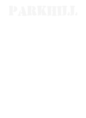 https://d1w8c6s6gmwlek.cloudfront.net/stpatricksdaytee.com/overlays/132/016/1320162.png img