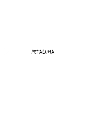 https://d1w8c6s6gmwlek.cloudfront.net/stpatricksdaytee.com/overlays/132/023/1320232.png img