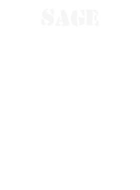 https://d1w8c6s6gmwlek.cloudfront.net/stpatricksdaytee.com/overlays/132/065/1320659.png img