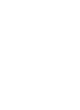 https://d1w8c6s6gmwlek.cloudfront.net/stpatricksdaytee.com/overlays/132/068/1320682.png img