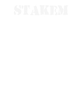 https://d1w8c6s6gmwlek.cloudfront.net/stpatricksdaytee.com/overlays/132/108/1321087.png img