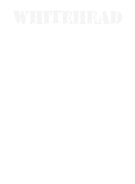 https://d1w8c6s6gmwlek.cloudfront.net/stpatricksdaytee.com/overlays/132/159/1321592.png img