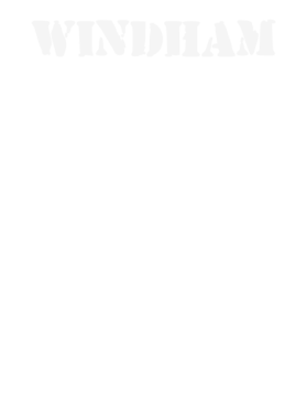 https://d1w8c6s6gmwlek.cloudfront.net/stpatricksdaytee.com/overlays/132/162/1321621.png img