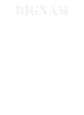 https://d1w8c6s6gmwlek.cloudfront.net/stpatricksdaytee.com/overlays/132/192/1321921.png img